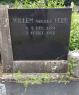 Willem van der Veer (1924–1962) Willem van der Veer (1924–1962)